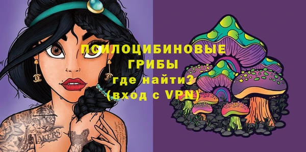метадон Лабытнанги