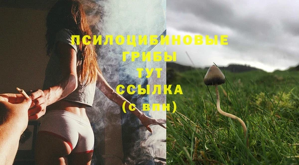 метадон Лабытнанги